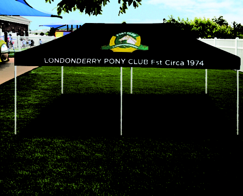 custom marquee set up in the middle of a grassy area